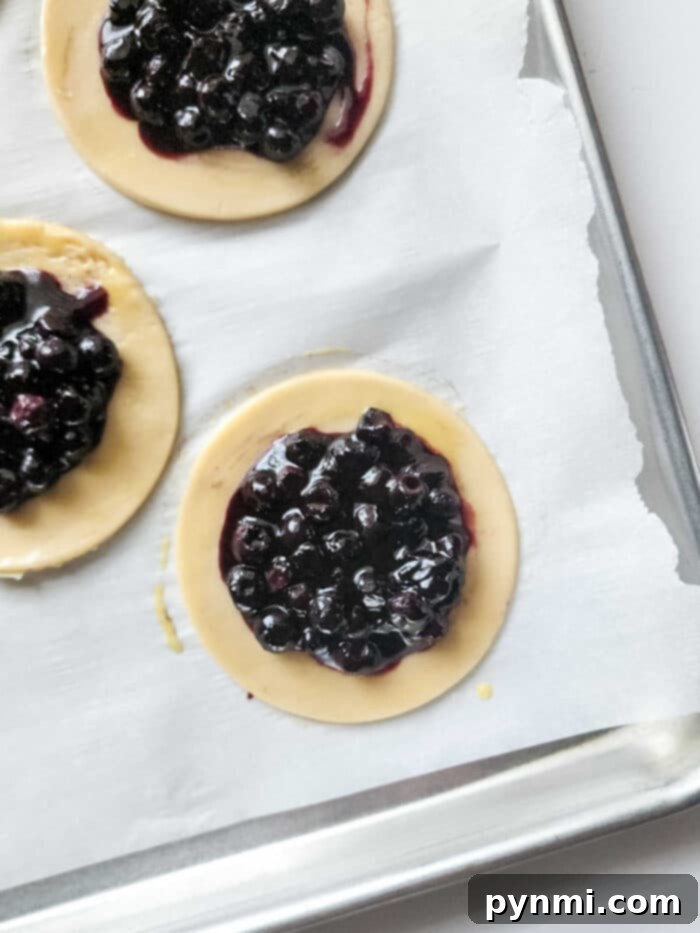 Blueberry Bliss Air Fryer Bites 4 Assorted fruit hand pies, showcasing various fillings and golden-baked crusts.