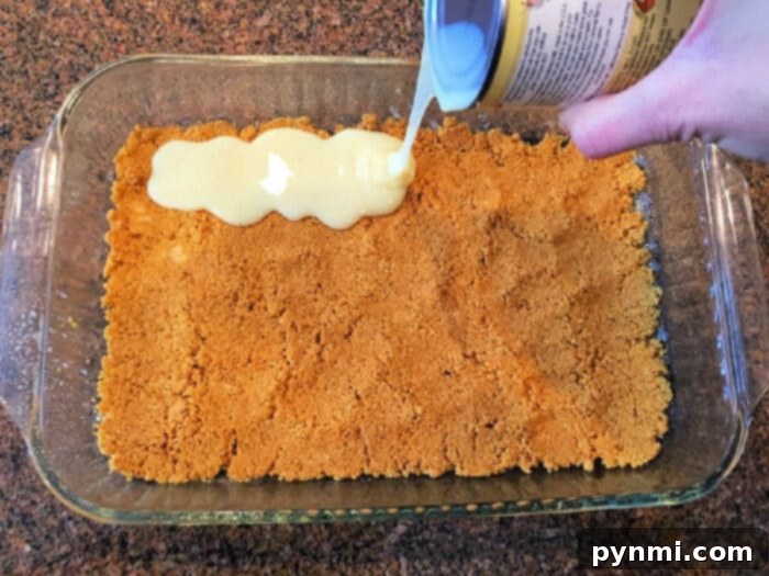Flawless Graham Cracker Cheesecake Crust 6 graham cracker crust 9x13 pan