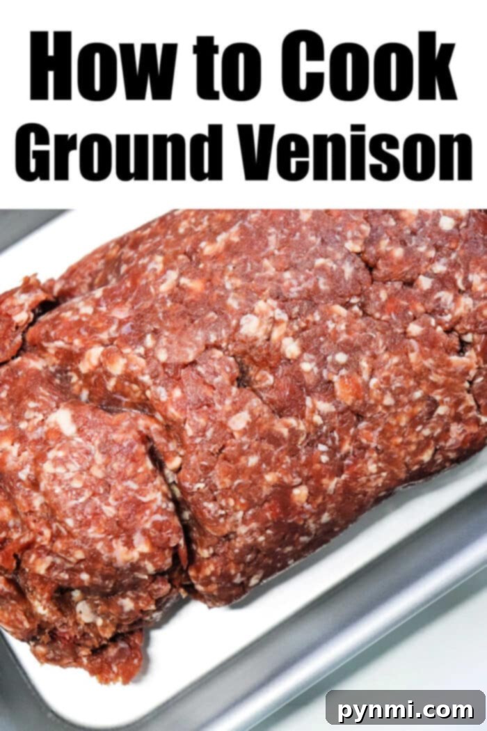 Creative Ground Venison Meals 6 Delicious ground venison recipe served with fresh herbs