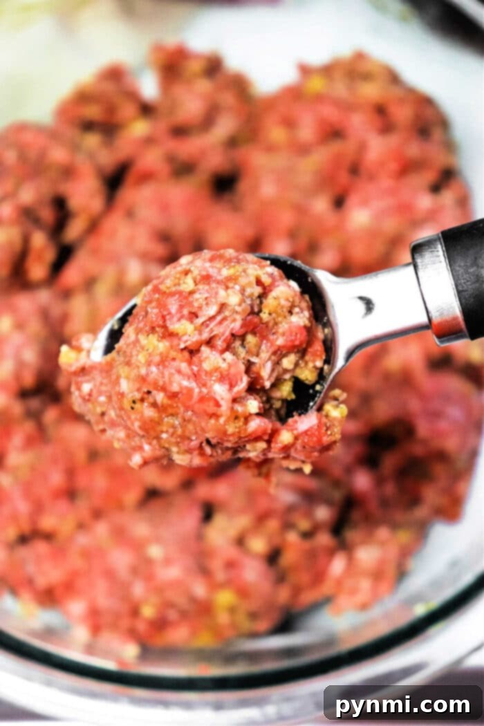 Creative Ground Venison Meals 7 An array of delicious dishes made with venison, suggesting versatility in cooking.