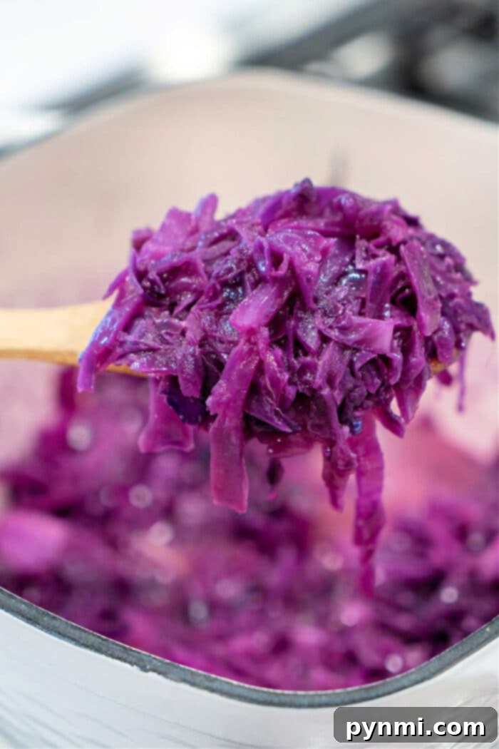 Red Cabbage Recipes