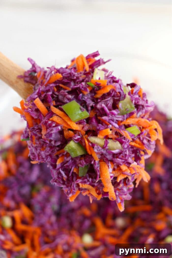 coleslaw with red cabbage
