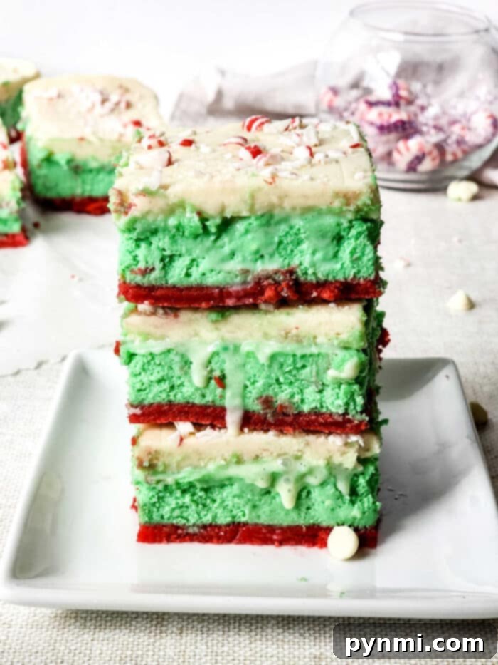 Decadent Sugar Cookie Lasagna 2 Beautifully layered dessert lasagna with a festive sugar cookie crust and creamy filling, garnished for the holidays.