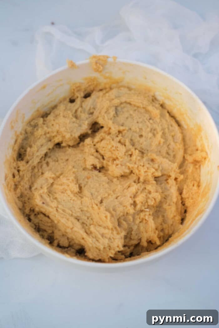 Powdered Peanut Butter Recipe - Explore its uses beyond traditional spreads.