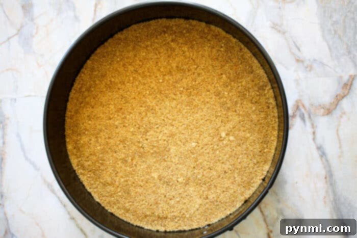 Pie crust made with crushed gingersnap cookies, pressed into a springform pan, ready for baking.