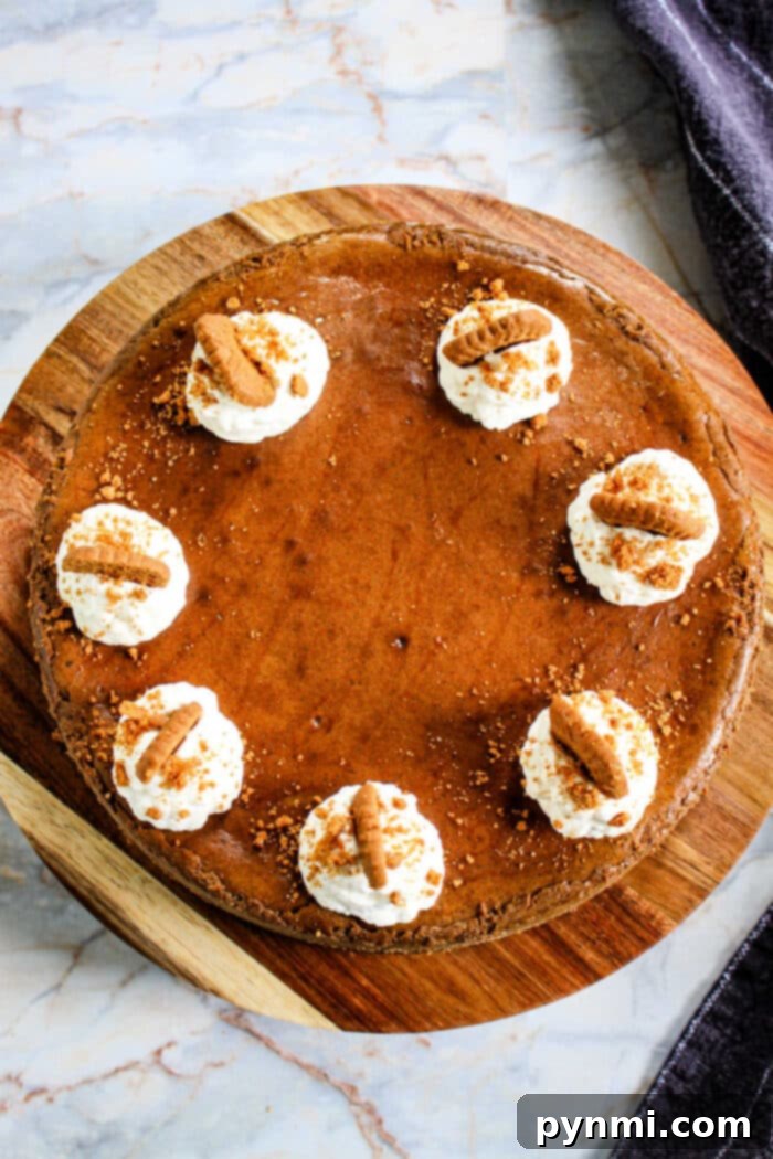 A golden Gingerbread Cheesecake with a classic Graham Cracker Crust, ready for holiday serving.