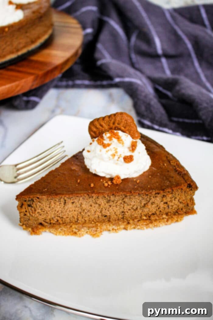 Close-up of a gingerbread cheesecake with a thick, golden crust, invitingly presented for a holiday gathering.