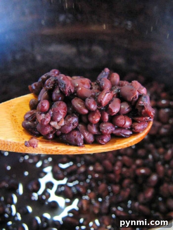 instant pot black turtle beans