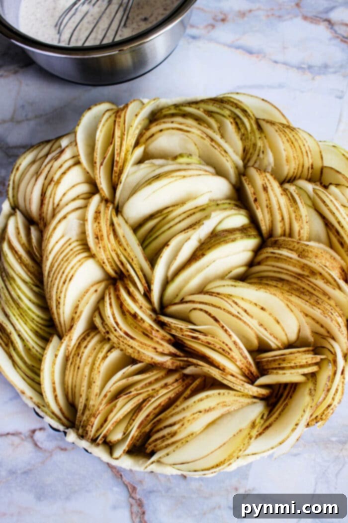 Potato Pie