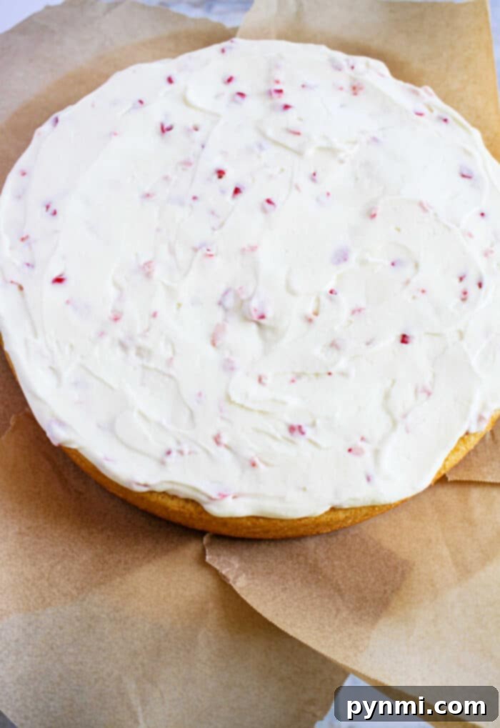 Cool Peppermint Cloud 10 Peppermint Frosting for Chocolate Cake
