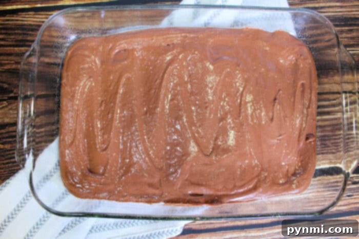 Yuletide Chocolate Squares 4 Christmas Tree Brownies