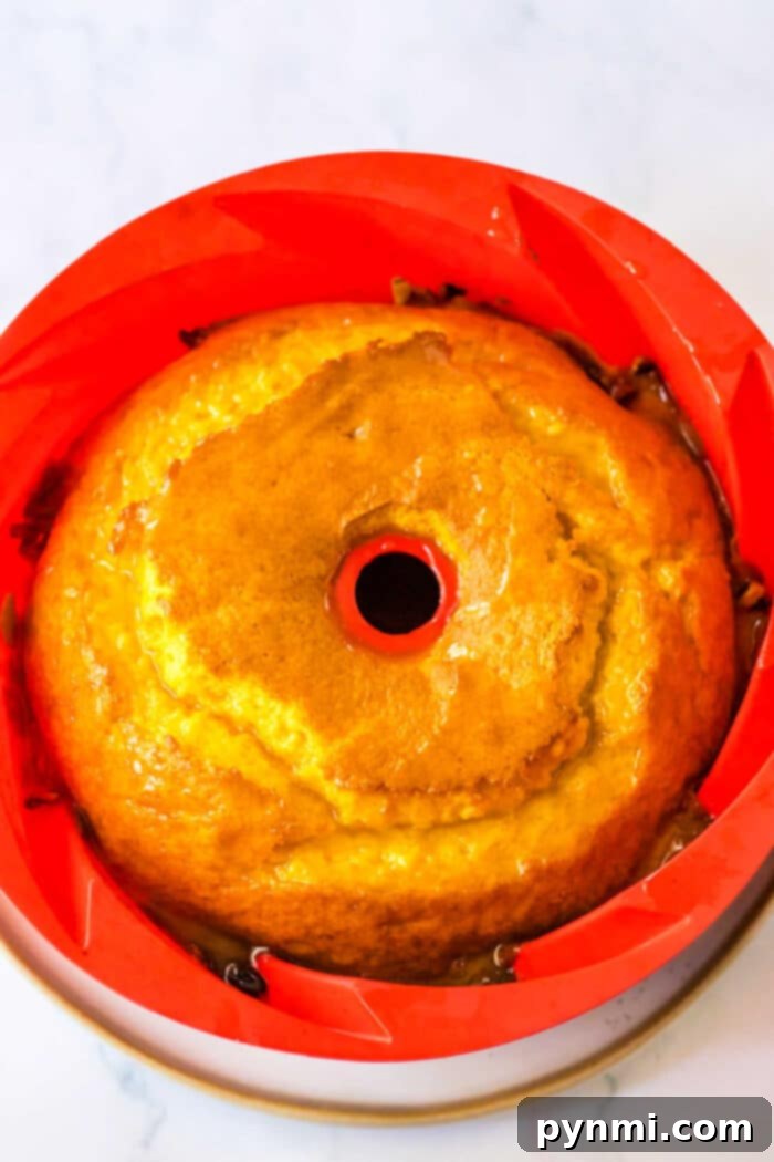 A beautifully baked Bundt Cake, showcasing its intricate design, sits elegantly on a cooling rack, signifying the successful completion of a homemade dessert.