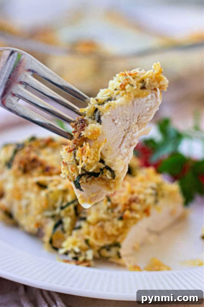 Aromatic Herb-Crusted Chicken 2 Crispy Herbed Crusted Chicken Breast with Parmesan