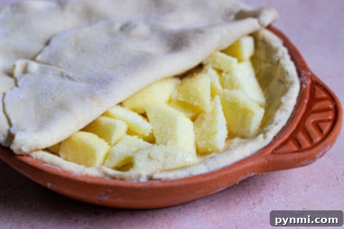 Artisan Sourdough Pie Crust 5 Sourdough Pie Crust Recipe