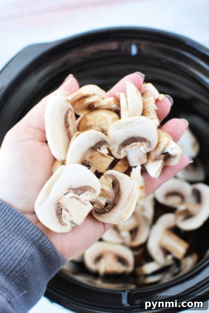 Creamy Chicken Mushroom Delight 4 Crockpot Chicken with Cream of Mushroom Soup, garnished