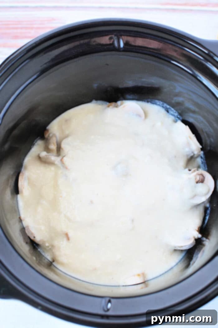 Creamy Chicken Mushroom Delight 5 Chicken and Rice Casserole with Cream of Mushroom Soup