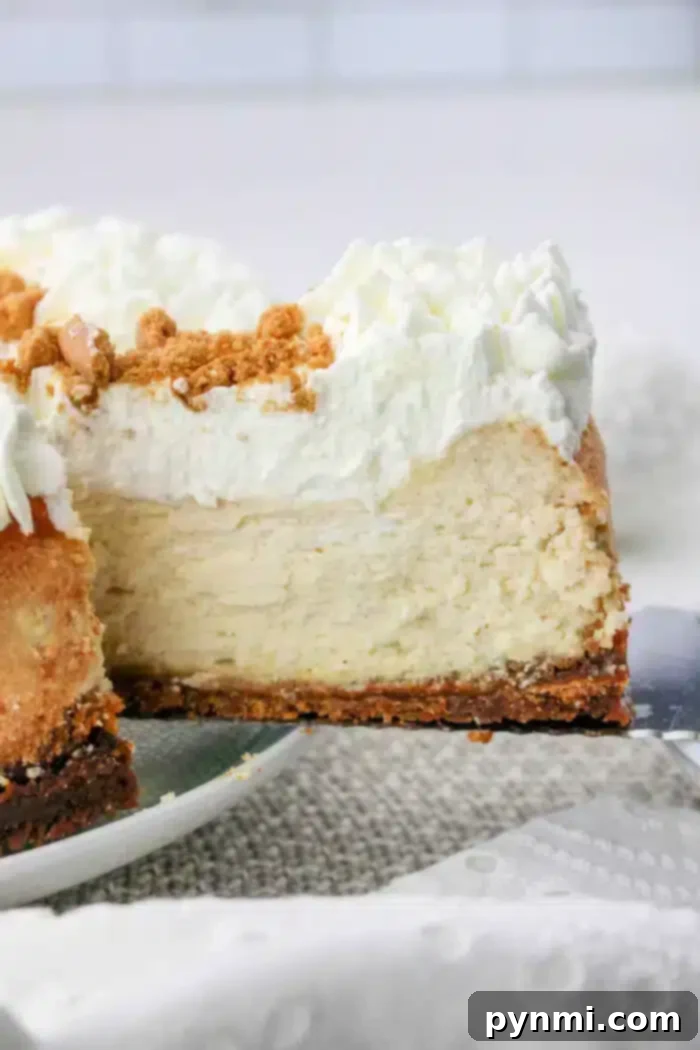 Philadelphia Cream Cheese Cheesecake Recipe - a perfect slice
