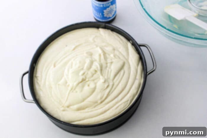 Gingerbread Cheesecake Recipe - a festive twist