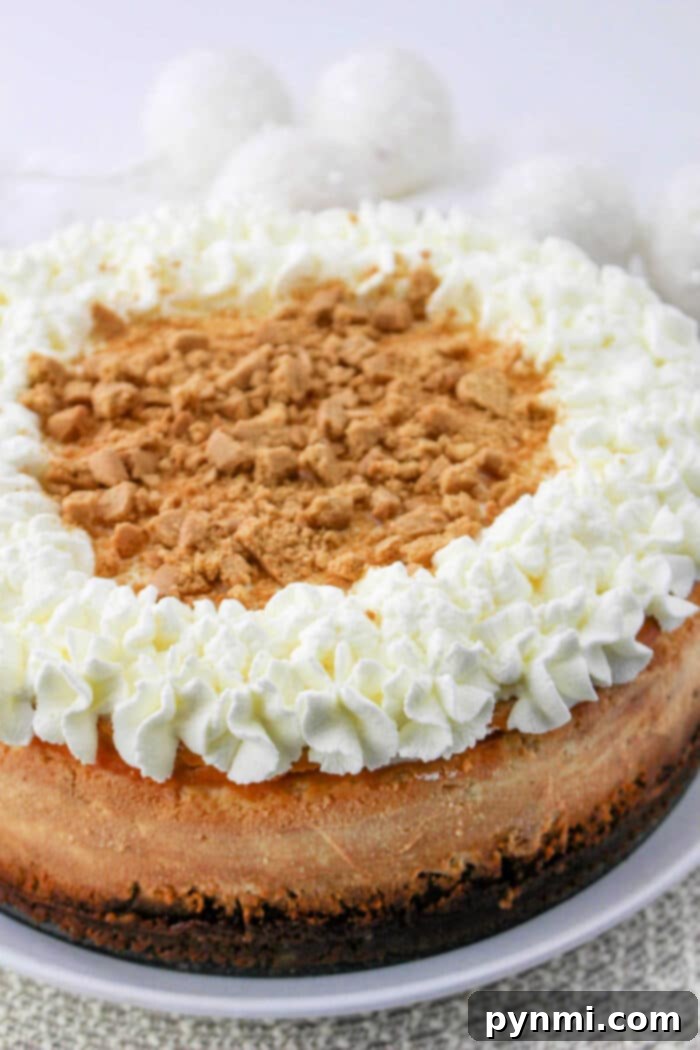 Cheesecake Recipe Philadelphia with fresh berries and whipped cream