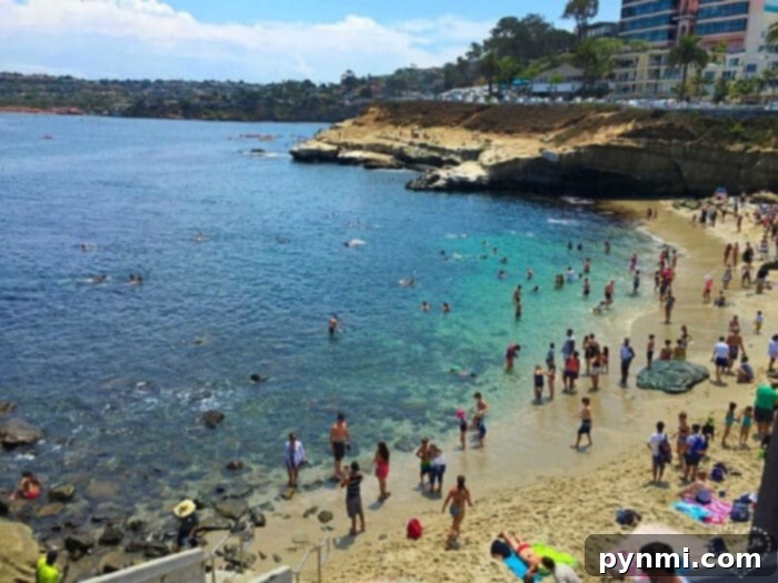 Unpacking California's Fame 3 california beaches