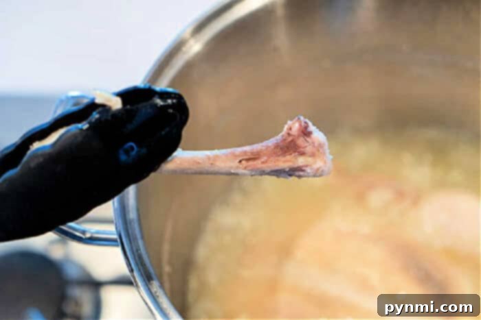 Gentle Boiled Chicken for Dog Digestive Relief 3 How to Boil Chicken for Dogs