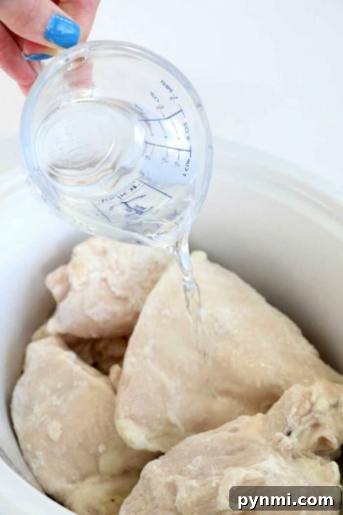 Gentle Boiled Chicken for Dog Digestive Relief 4 How to Boil Frozen Chicken for Dogs