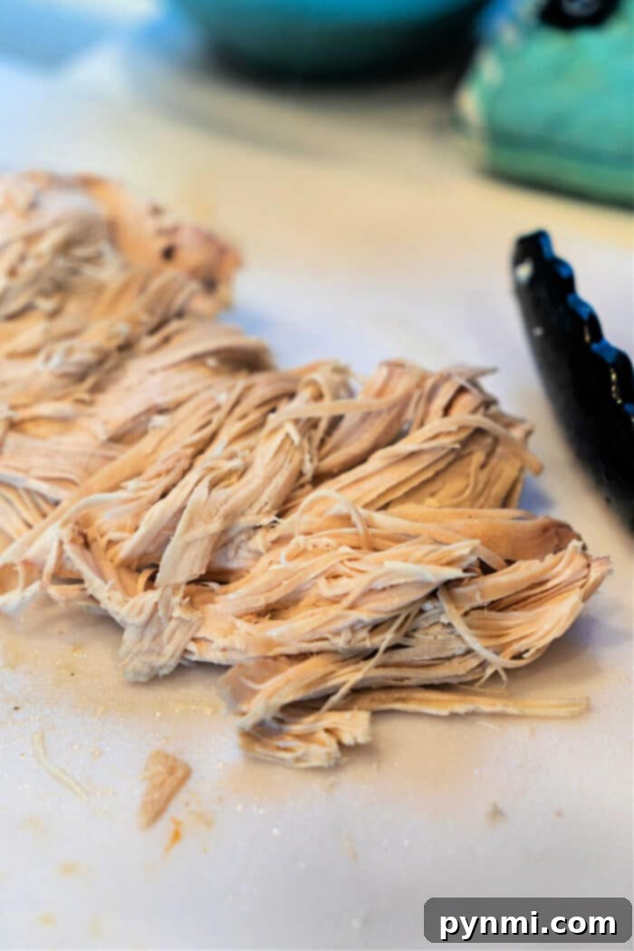 Gentle Boiled Chicken for Dog Digestive Relief 5 How to Boil Plain Chicken for Dogs