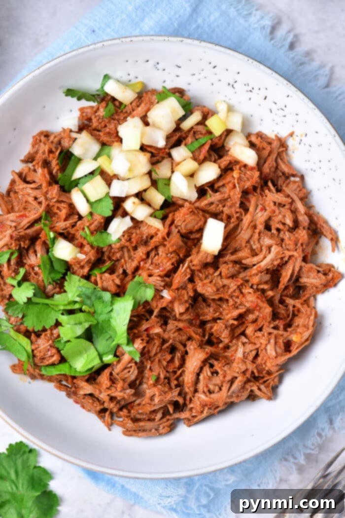 Trader Joes Beef Birria