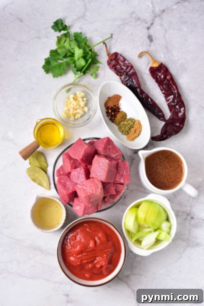 Shredded Birria Beef