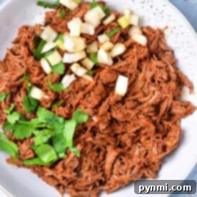 Birria shredded beef is artfully topped with diced onions and fresh cilantro, elegantly presented on a pristine white plate.