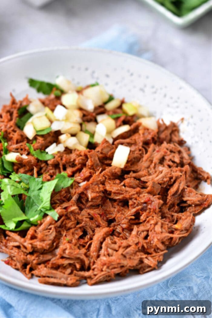 Copycat Trader Joes Beef Birria