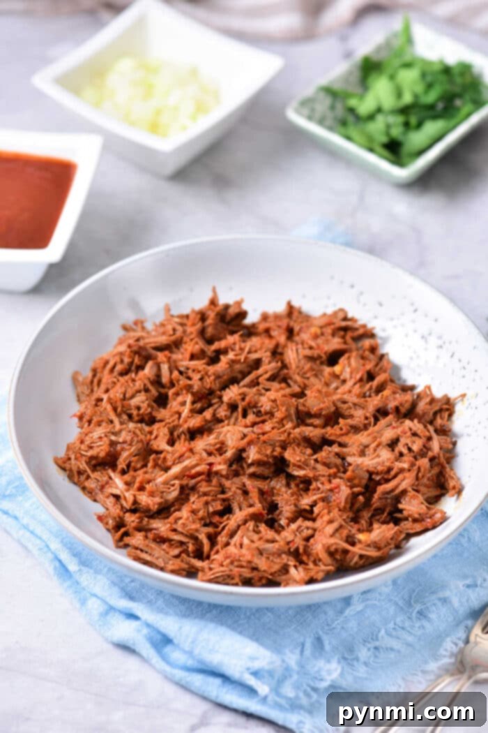 birria shredded beef