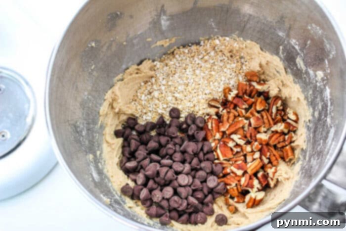Quaker Oats Steel Cut Oatmeal Cookies