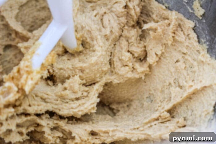 oatmeal cookie dough