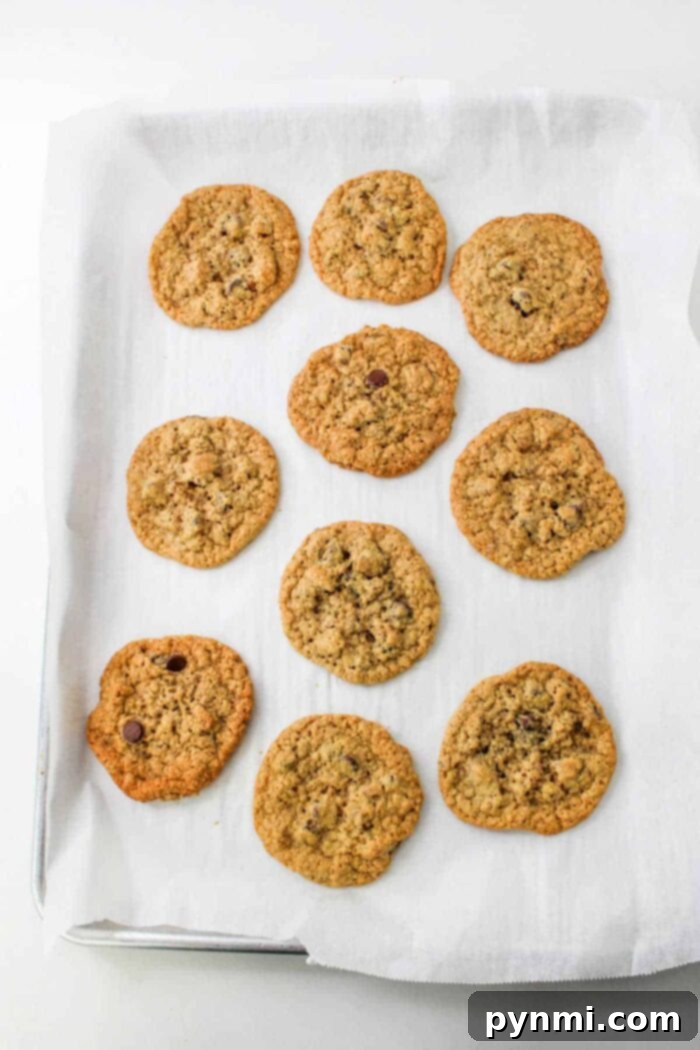 Steel Cut Oat Cookies