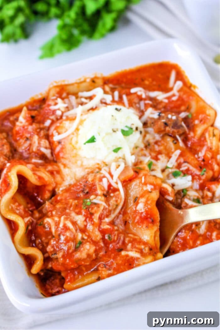 Lazy Lasagna Soup