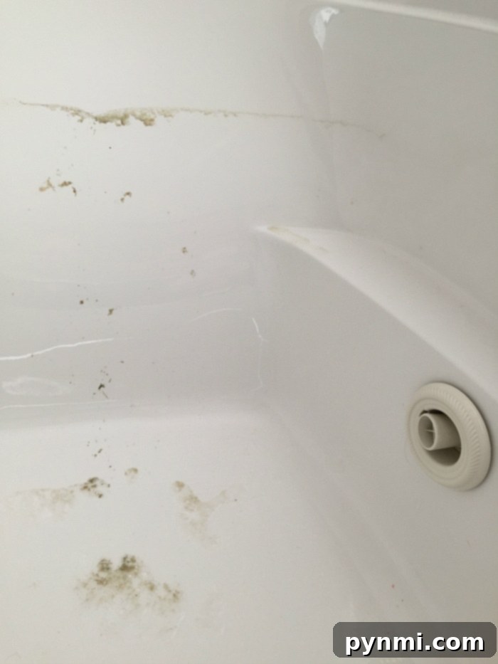 A neglected jetted tub clearly showing visible mold and grime, highlighting the urgent need for a deep and effective cleaning solution. A close-up image of a white jetted bathtub with noticeable mold and grime buildup around the edges and surface, indicating a need for thorough cleaning. The bathtub drain is partially visible in the bottom right corner, emphasizing the visible dirt and the necessity of effective cleaning.