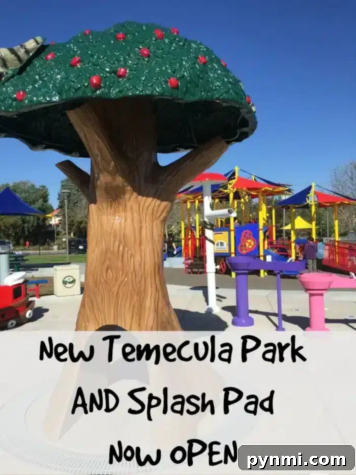 A vibrant playground features a large tree-shaped play structure surrounded by colorful climbing frames and slides, designed for children of all abilities. A welcoming sign reads "New Temecula Special Needs Park and Splash Pad Now Open."