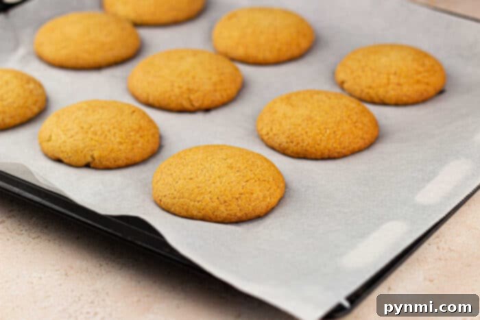 Corn Flour Cookies: A stack of perfectly baked cookies