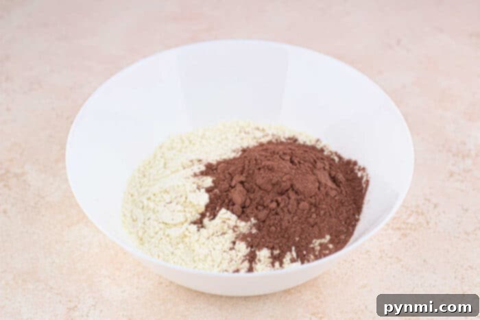 Deep Cocoa Pie Base 4 Perfect Cocoa Powder Pie Crust Dough