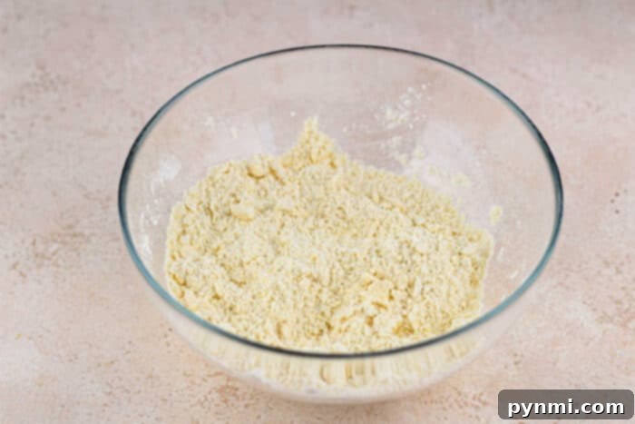 Easy Bisquick Pie Crust 4 Flaky pie crust using a no-butter alternative