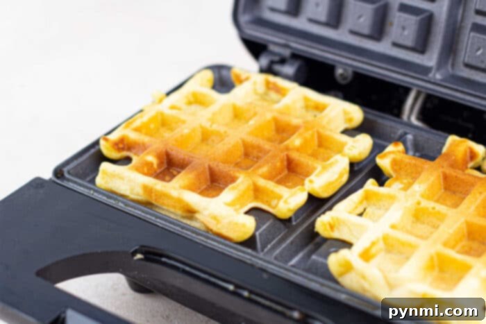 Golden and Crispy Cornmeal Waffles 6 Golden corn waffles with a crispy exterior and tender, fluffy interior, served with toppings.