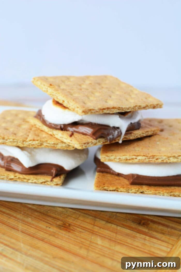 Oven S'mores Delights 2 Delicious S'mores Perfectly Roasted in the Oven