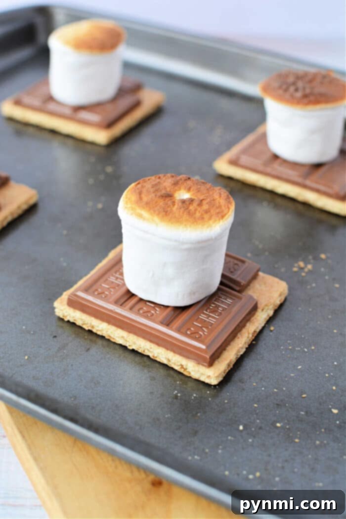 Oven S'mores Delights 6 Close-up of Gooey Oven-Baked S'mores