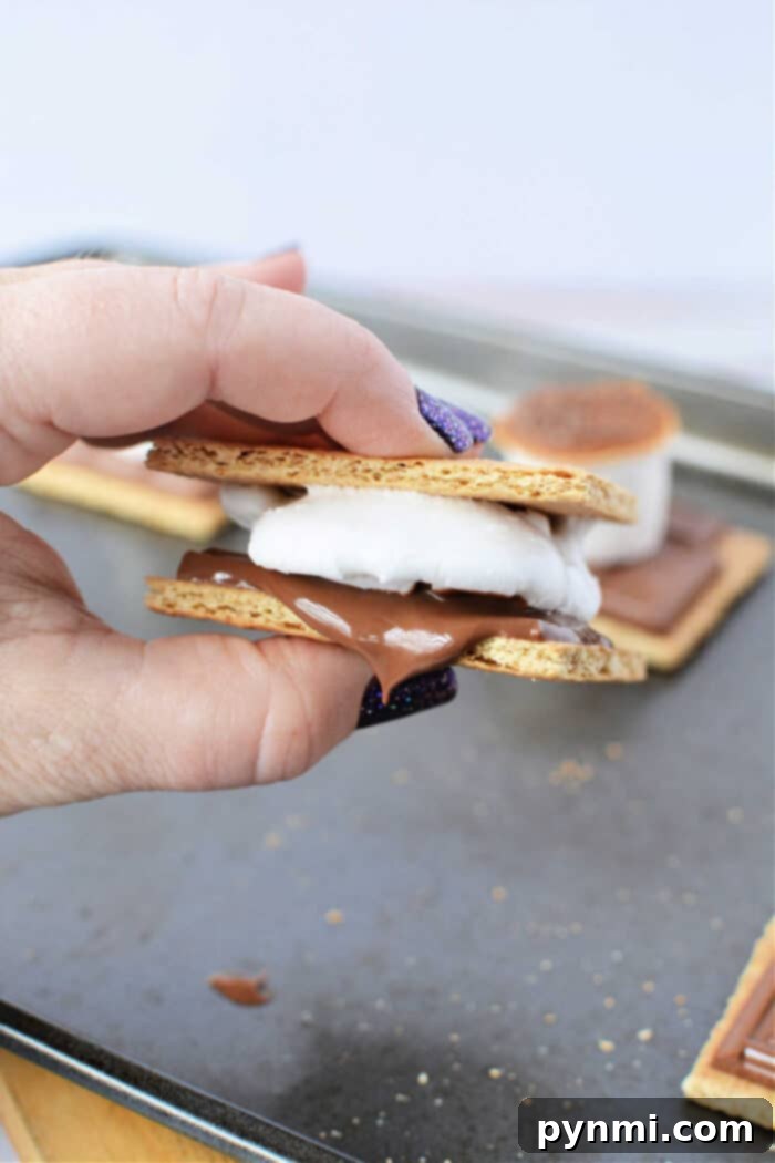 Oven S'mores Delights 7 An array of delicious oven-baked s'mores ready for a party.