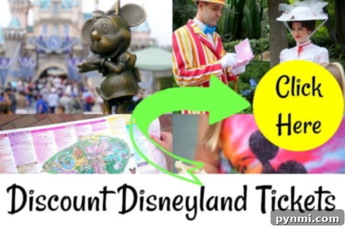 Disneyland Southern California Tickets 2 How to find disneyland tickets discount deals