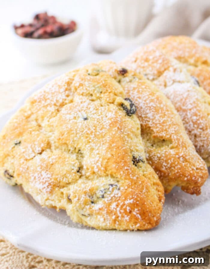 Golden brown Bisquick scones with a light dusting of powdered sugar, ready to be enjoyed as a perfect breakfast or dessert treat.