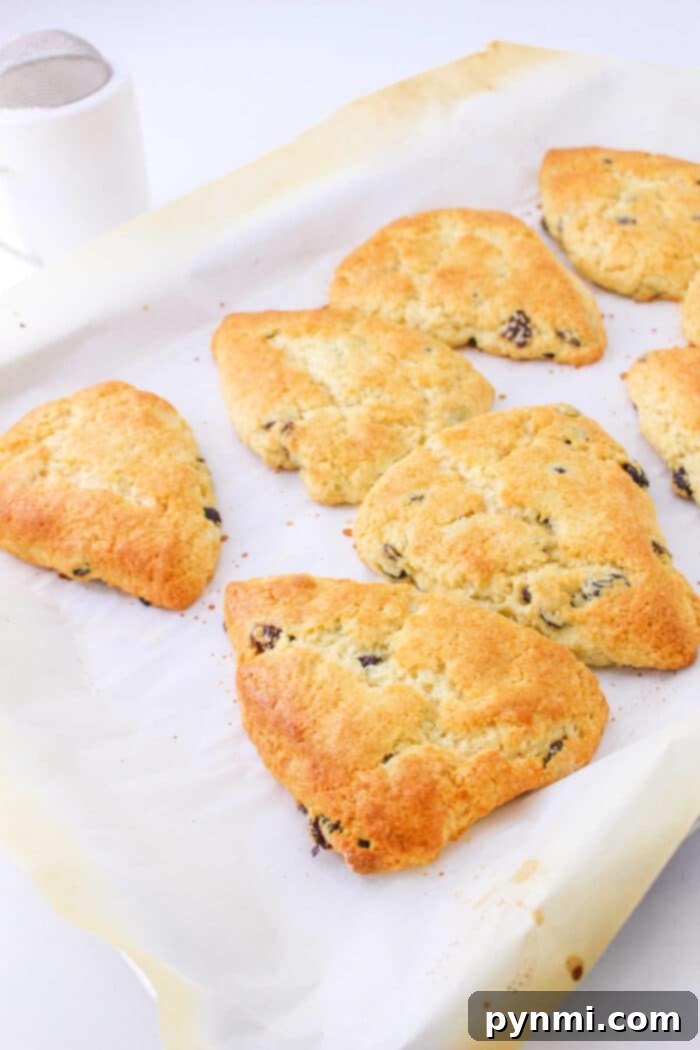 A pair of perfectly baked Bisquick scones, lightly dusted with powdered sugar, sitting on a white plate with a fork, poised for enjoyment. The texture appears light and inviting, highlighting their readiness as a delicious treat.