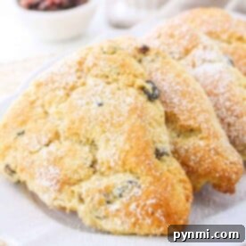 Three golden, triangular Bisquick scones dusted with powdered sugar rest elegantly on a white plate, showcasing a delightful breakfast or dessert.