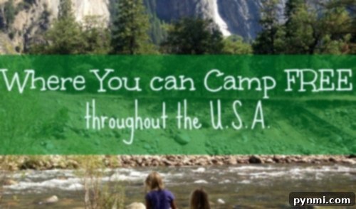 Your Ultimate Camping Packing Guide 4 Tips for finding free camping spots